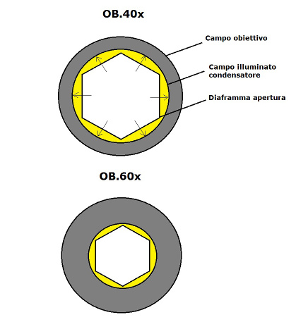Rinunciare al kohler con obiettivi 40 e 60x ?